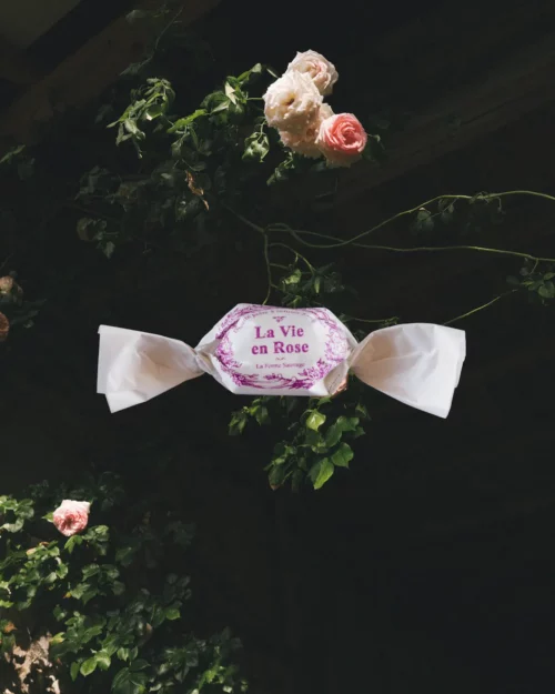 La vie en rose - Tisane Romarin Rose Hibiscus, cultivés en Haute-Savoie