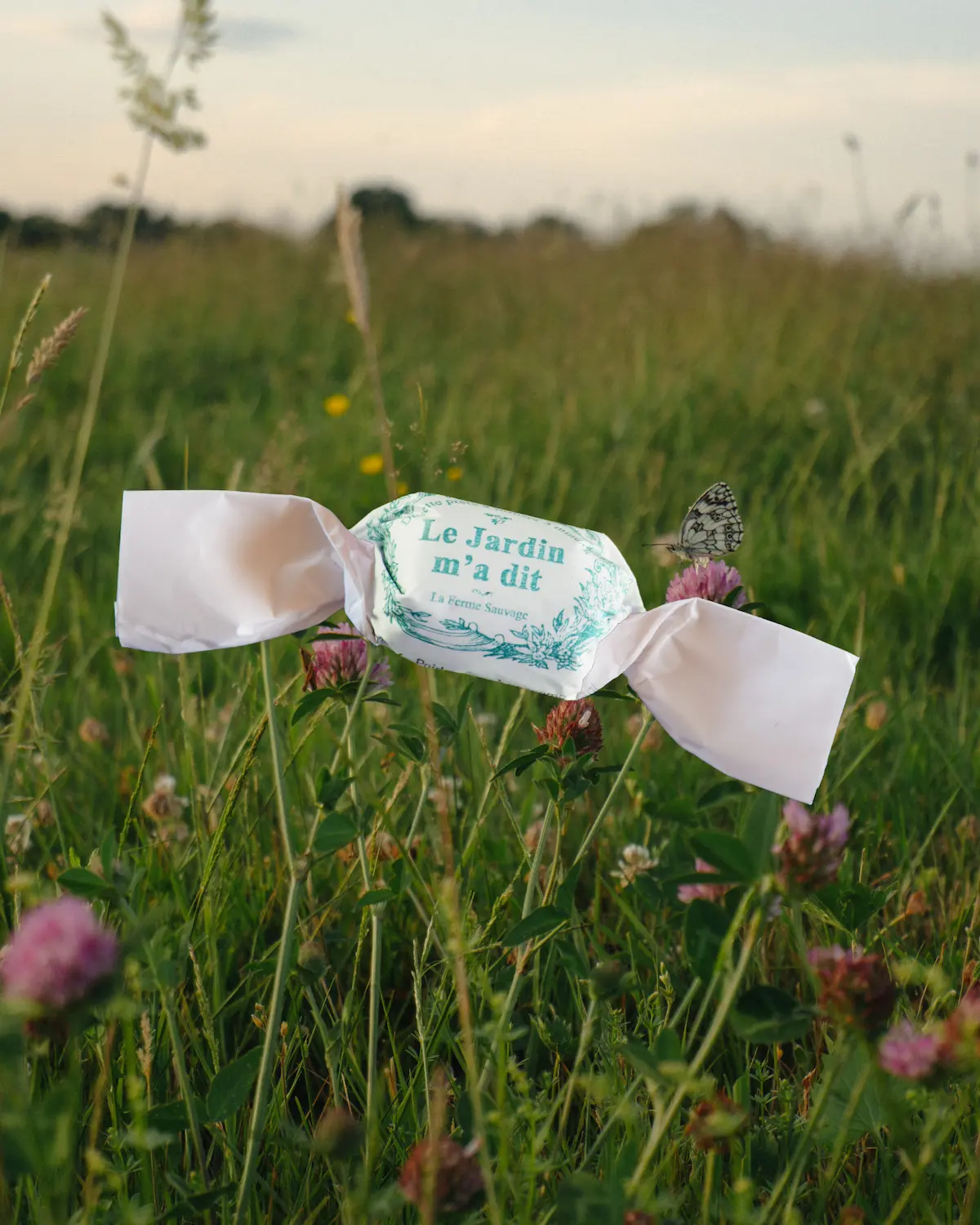 Le jardin m'a dit tisane verveine Papillote - Ferme Sauvage Haute-Savoie