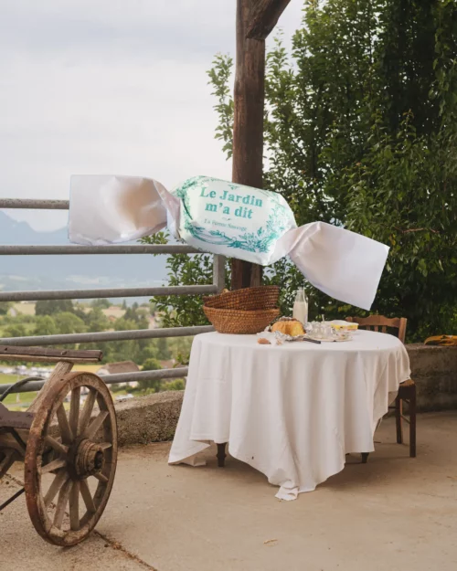 tisane à la sauge - Ferme Sauvage Haute-Savoie