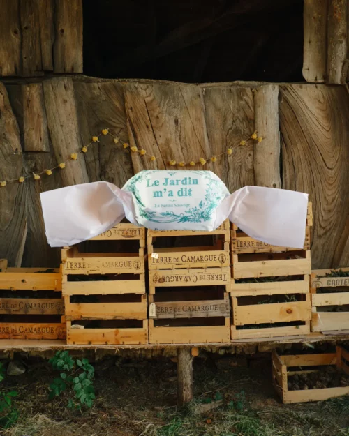 Tisane au thym - Ferme Sauvage Haute-Savoie
