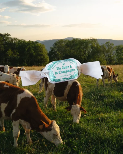 Tisane au tilleul en papillotte - La ferme sauvage haute-savoie