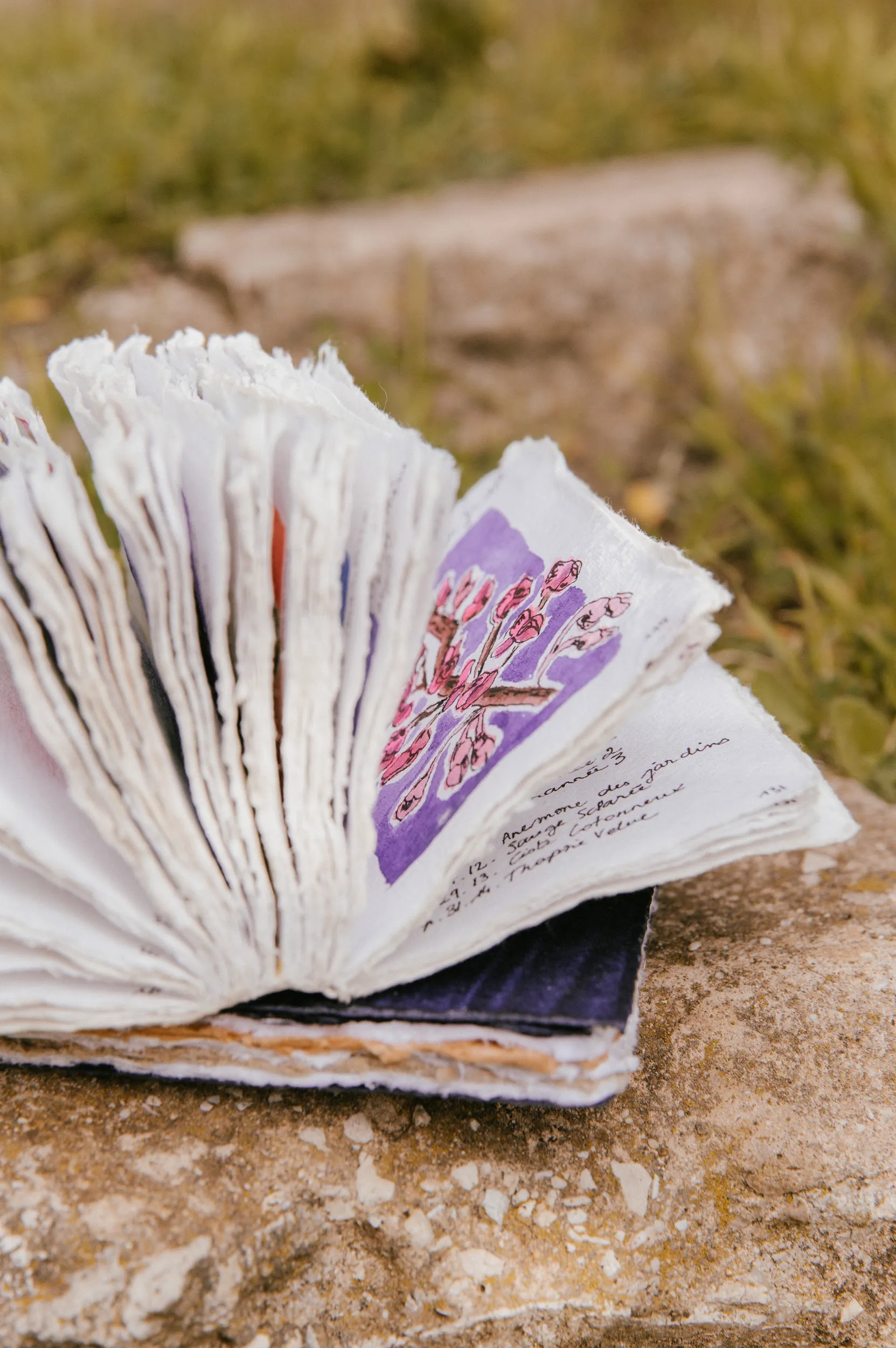 Les carnets de cueillette Couverture Rigide – Image 10