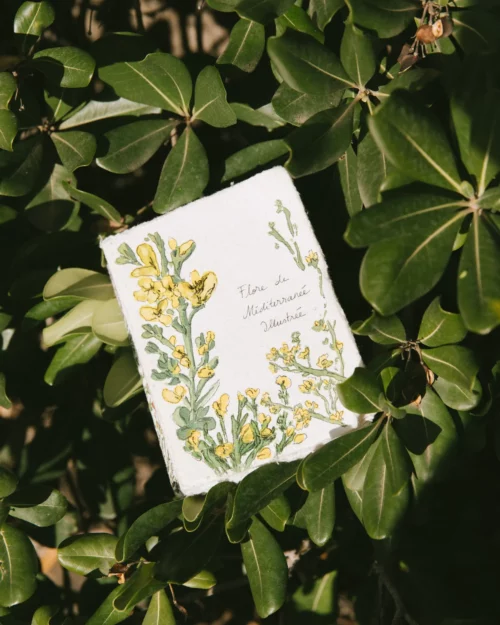 Les carnets de cueillette Couverture souple personnalisable