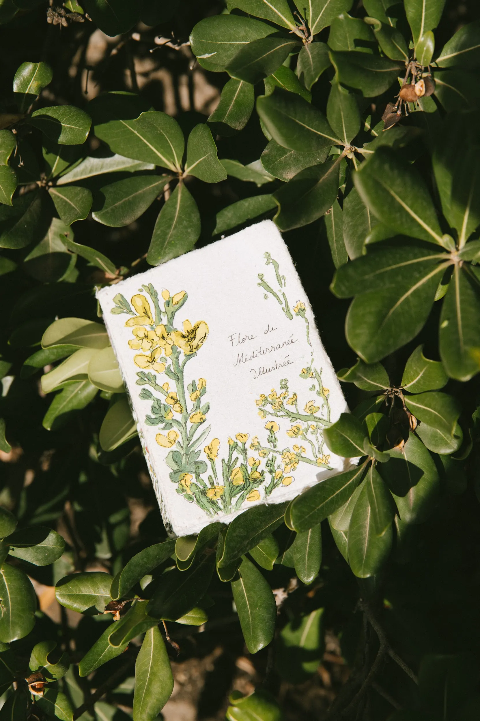 Les carnets de cueillette Couverture souple personnalisable