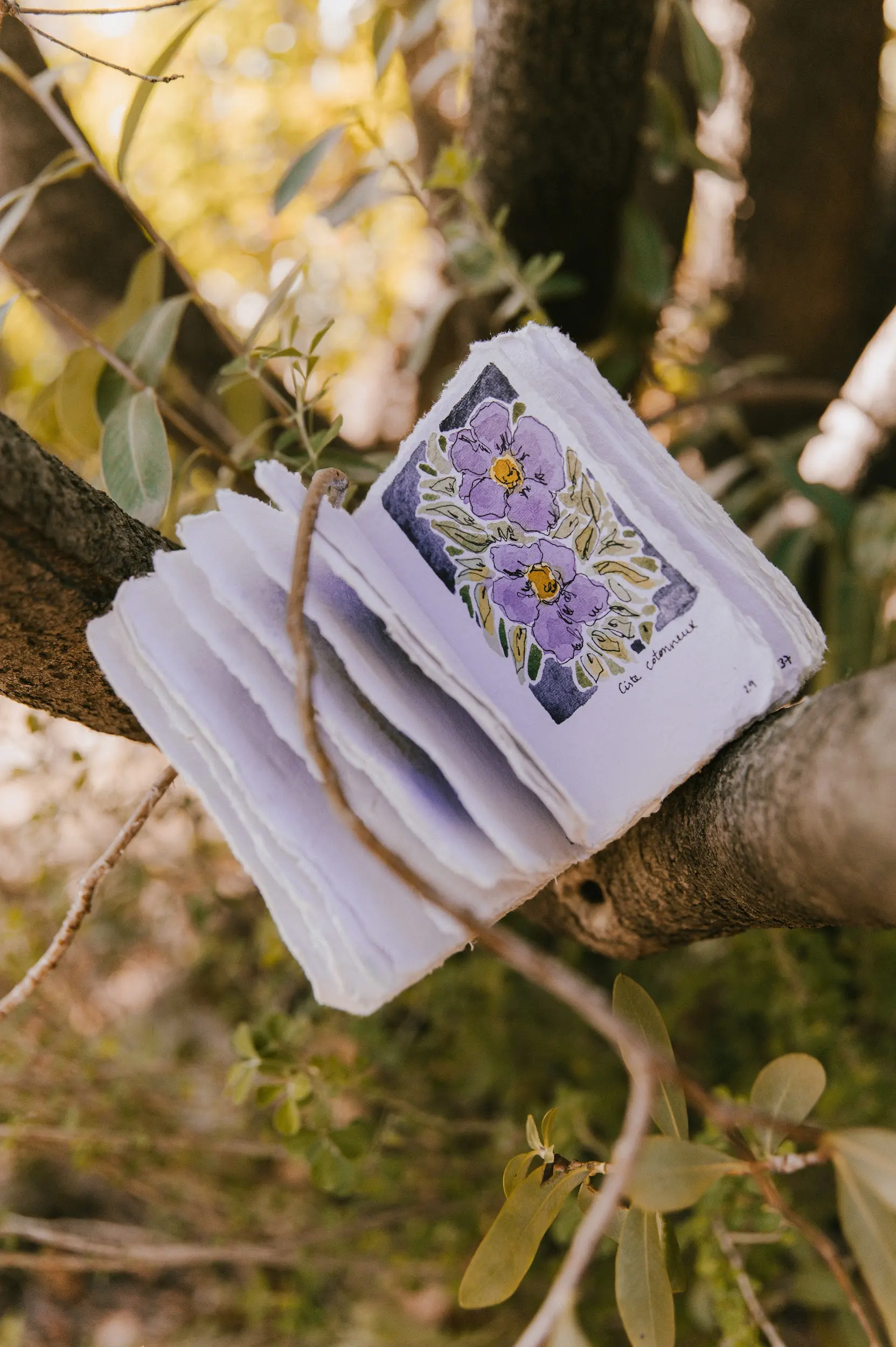 Les carnets de cueillette Couverture souple personnalisable – Image 9