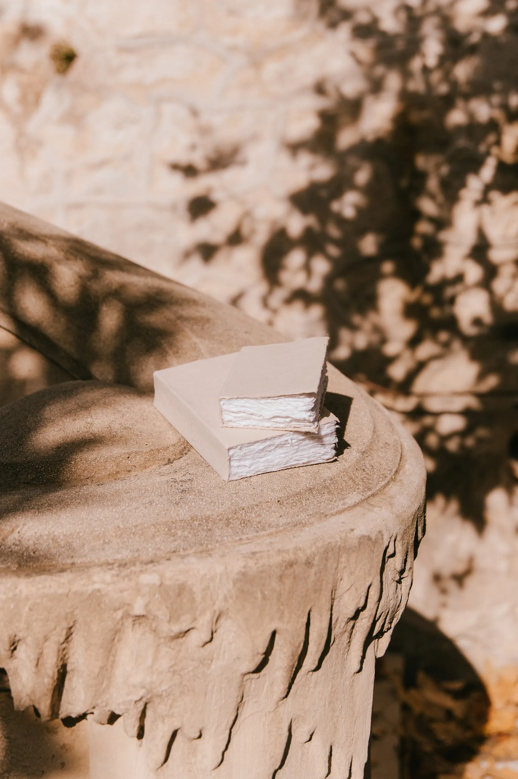 Les carnets de cueillette Couverture Rigide – Image 7