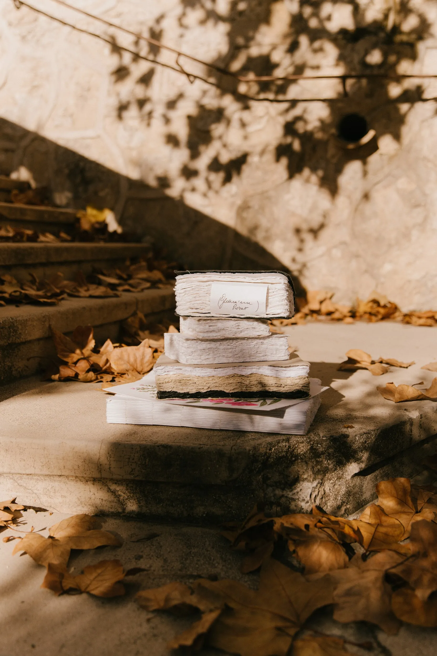 Les carnets de cueillette Couverture Rigide – Image 6